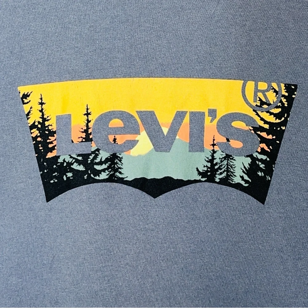 Levi’s Logo T-Shirt Men’s Medium Gray‎ Western Desert Cowboy Americana Heritage